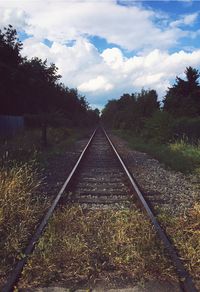 Railroad track passing through forest