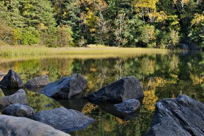 Scenic view of lake