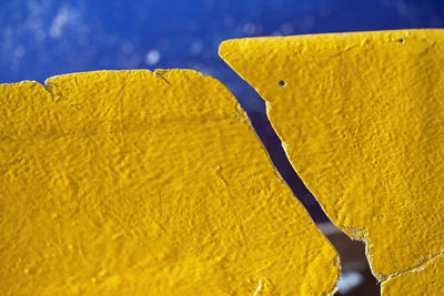 Close-up of yellow leaf on water