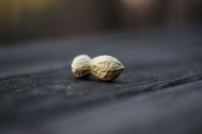 Close-up of peanut on wooden table