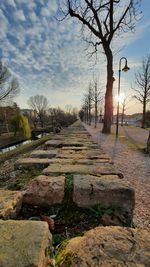 Footpath amidst bare trees against sky