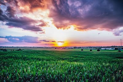 Scenic view of field against sky at sunset