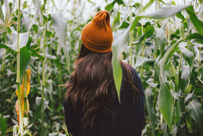 Rear view of woman standing amidst corns on field
