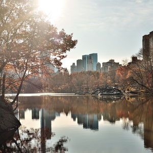 Reflection of trees in lake against sky in city