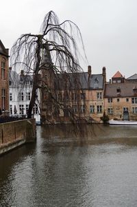 View of buildings against the sky