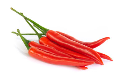 Close-up of red chili pepper against white background