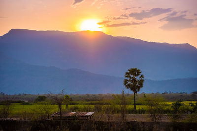 Scenic view of field against sky during sunset