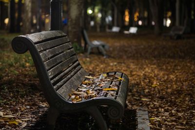 Empty bench in park during autumn