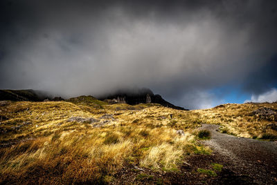 Scenic view of landscape against sky