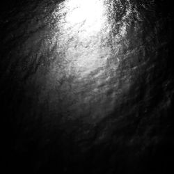 Low angle view of trees against sky