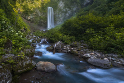 Stream flowing through rocks in forest