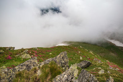 Scenic view of landscape against sky in rodnei mountains 