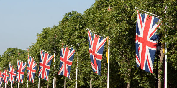 Scenic view of flags against trees