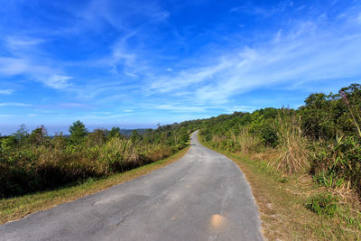 Empty road along trees and plants against sky