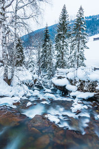Winter landscape of a small mountain river with colorful stones and frozen waterfall in alps.