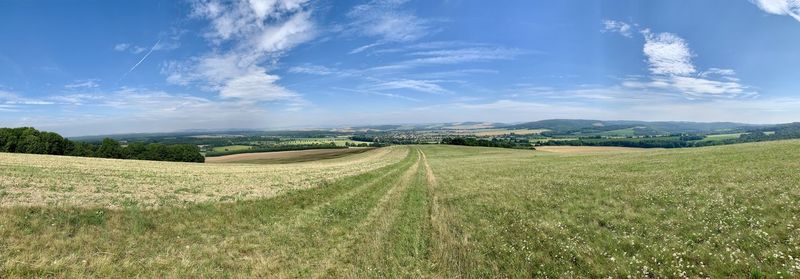 Scenic view of agricultural field against sky