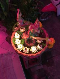 High angle view of roses floating on plant