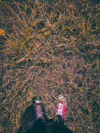 Low section of person standing on field