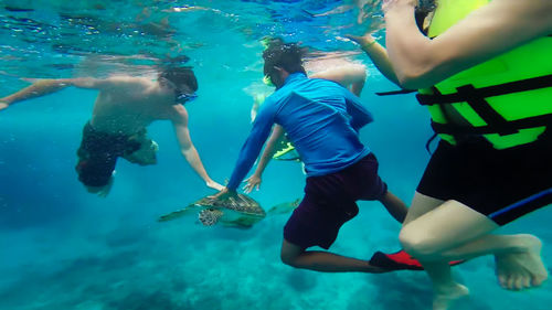 People touching turtle while swimming undersea