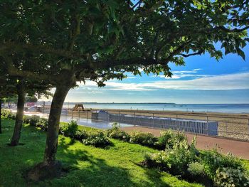 Trees by sea against sky