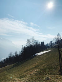 Trees on field against sky