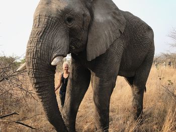 Woman standing by elephant on field