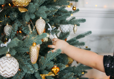 Midsection of girl holding christmas tree
