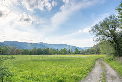 Scenic view of landscape against sky