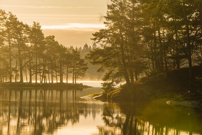 A peaceful sunrise in a swedish forest, with sun rays reflecting off the lake and fog 