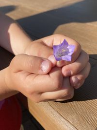 Close-up of hand holding purple flower