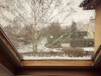 Snow covered trees seen through glass window