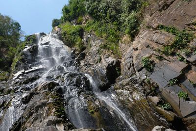 Scenic view of waterfall in forest