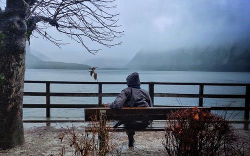 Rear view of man sitting on bench by lake during winter