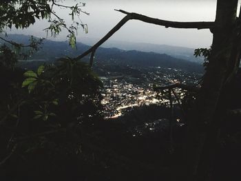 Scenic view of trees and cityscape against sky