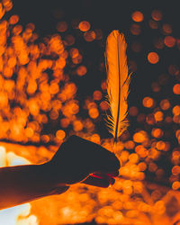 Cropped hand holding feather against campfire at night