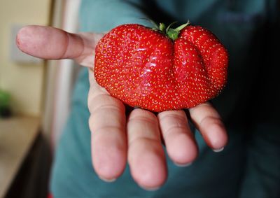 Close-up of cropped hand holding strawberries