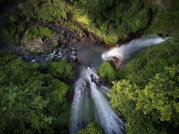 Scenic view of waterfall in forest