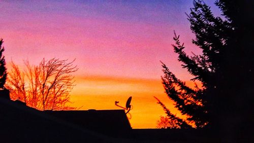 Low angle view of silhouette bare trees against sky