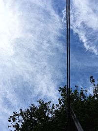 Low angle view of trees against sky