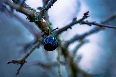 nature