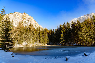 Scenic view of snow covered trees by lake against sky