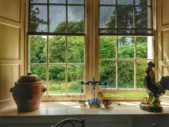 Trees seen through home window