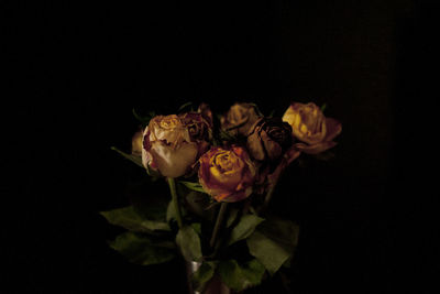 Close-up of rose bouquet against black background