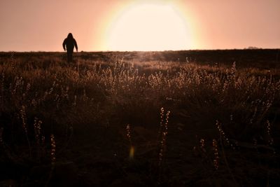 Silhouette people walking on field against sky during sunset