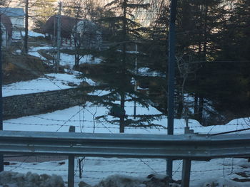 Trees on snow covered landscape