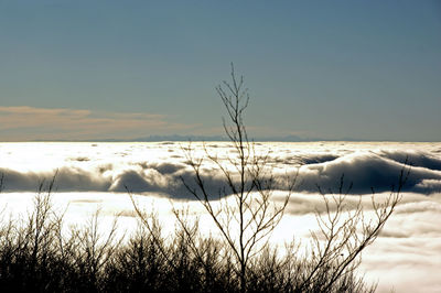 Scenic view of snowy field against sky