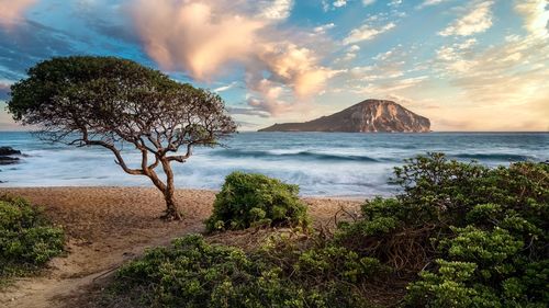 Scenic view of sea against sky