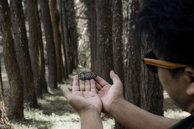 Midsection of man holding tree trunk in forest