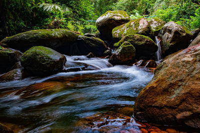 Stream flowing through rocks in forest