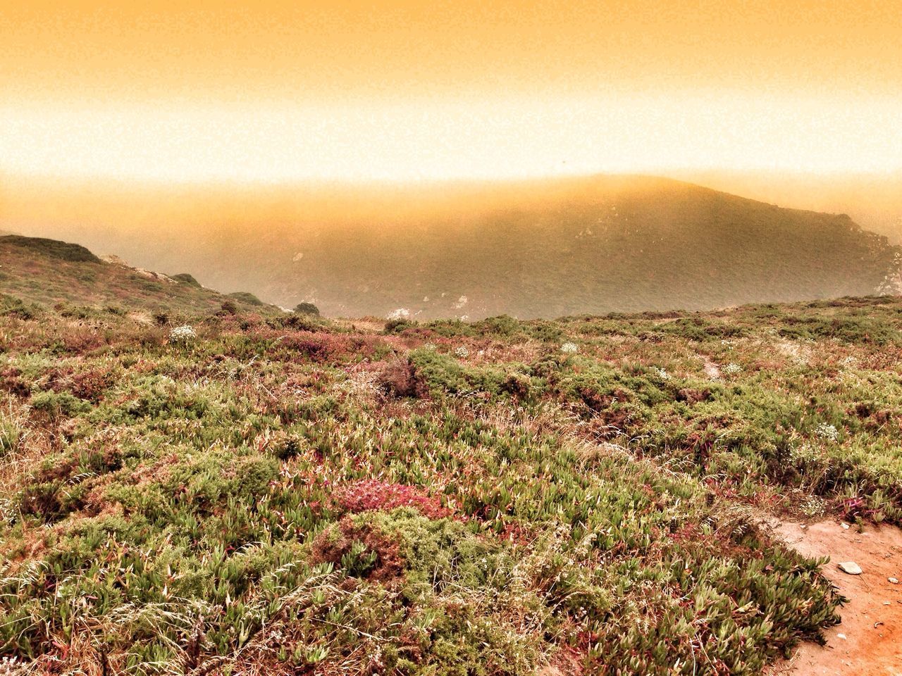 Cabo da Roca